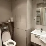 Rent 1 bedroom apartment in Praha 6