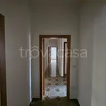 Rent 5 bedroom apartment of 130 m² in Benevento