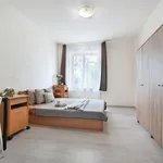 Rent 4 bedroom apartment of 99 m² in Kolín