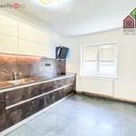 Rent 3 bedroom apartment of 66 m² in Ústí nad Labem