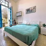 Rent 2 bedroom apartment of 55 m² in Pisa