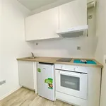 Rent 1 bedroom apartment in Brno