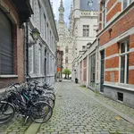 Rent 1 bedroom apartment in Leuven