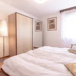 Rent 3 bedroom apartment of 120 m² in Sion