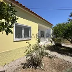 Rent 1 bedroom house of 84 m² in Tomar