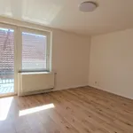 Rent 1 bedroom apartment in Prague