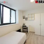 Rent 3 bedroom apartment in Brno