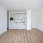 Steynlaan, Zeist - Amsterdam Apartments for Rent