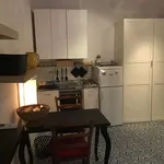 Rent 1 bedroom apartment of 30 m² in Roma