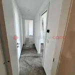 Rent 3 bedroom apartment of 77 m² in Bari