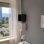 Rent a room in turin