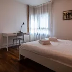 Rent 1 bedroom apartment in Udine