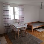 2-Zimmer Möblierte Wohnung mit Einbauküche mit Ost-Süd Balkon., Freising - Amsterdam Apartments for Rent