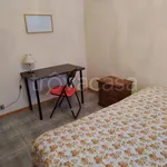 Rent 3 bedroom apartment of 80 m² in Torino