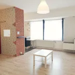  appartement avec 1 chambre(s) en location à Liège