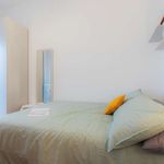 Rent a room in Torino