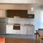 Rent 1 bedroom apartment of 40 m² in Asti