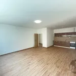 Pronajměte si 2 ložnic/e byt o rozloze 65 m² v Praha