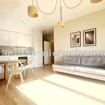 Rent 3 bedroom apartment of 57 m² in Lublin