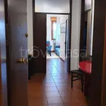 Rent 3 bedroom apartment of 100 m² in Padova