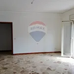 Affitto 7 camera appartamento di 130 m² in Palermo