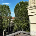 Rent 3 bedroom apartment of 100 m² in Torino