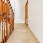 Rent 3 bedroom apartment of 65 m² in Rome