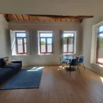 Rent 1 bedroom apartment in Porto