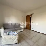 Rent 3 bedroom apartment of 65 m² in Pisa