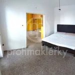 Rent 3 bedroom apartment in Brno