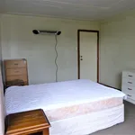 Rent 3 bedroom house in Dunedin