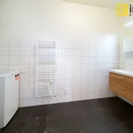 Pronajměte si 1 ložnic/e byt o rozloze 36 m² v Pilsen