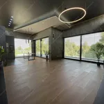 Rent 8 bedroom house of 420 m² in budapest