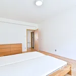 Rent 3 bedroom apartment in Brno