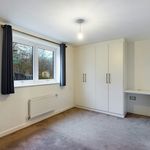 Rent 4 bedroom house in Basingstoke and Deane