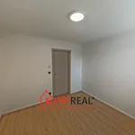 Rent 2 bedroom apartment of 44 m² in Brno