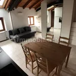 Rent 1 bedroom apartment of 40 m² in Bergamo