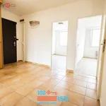 Rent 3 bedroom apartment of 70 m² in Praha