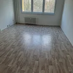 Rent 1 bedroom apartment in Karviná