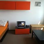 Rent 1 bedroom apartment of 40 m² in Prague