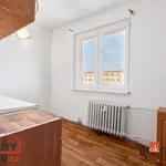 Rent 2 bedroom apartment in Chodov