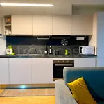 Rent 2 bedroom apartment of 60 m² in Milano