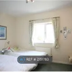 Rent 4 bedroom house in South West England