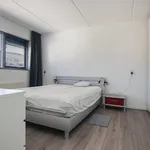 Diabellistraat, Capelle aan den IJssel - Amsterdam Apartments for Rent