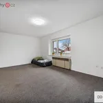 Rent 4 bedroom apartment of 87 m² in Kunčice