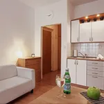 Pronajměte si 1 ložnic/e byt o rozloze 28 m² v Prague