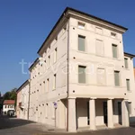 Rent 4 bedroom apartment of 209 m² in Castelfranco Veneto