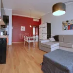 Rent 2 bedroom apartment of 60 m² in Milano