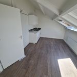 Rent 2 bedroom apartment of 30 m² in Driften-Zuid