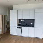 Rent 1 bedroom apartment of 59 m² in München